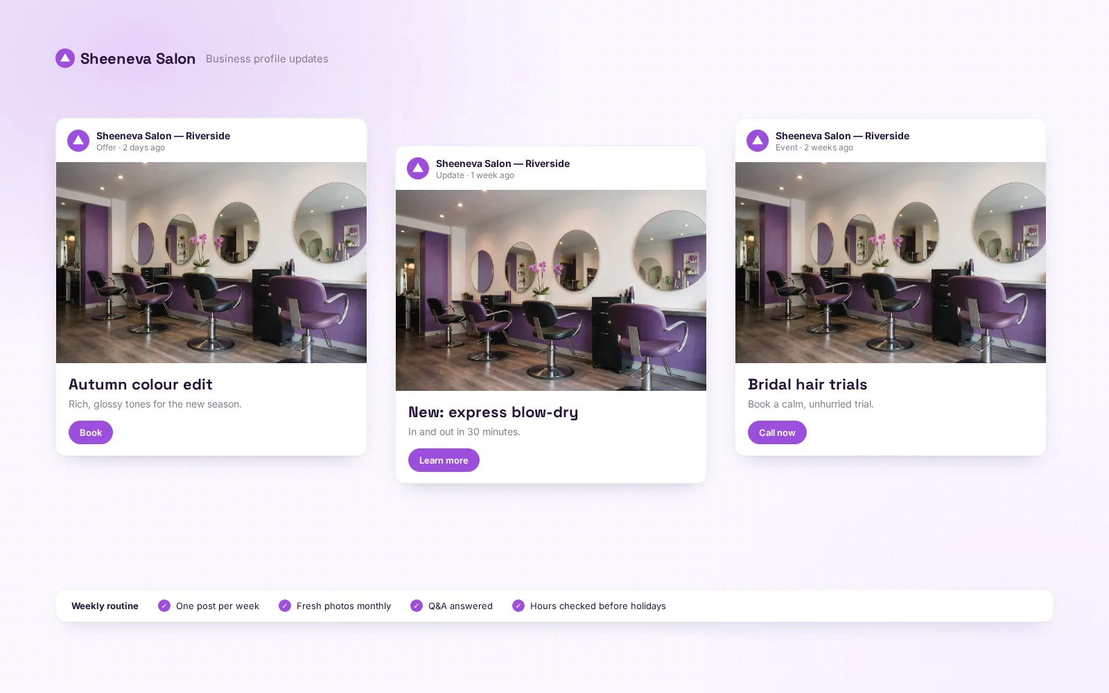 Sheeneva Salon — Local visibility for a two-branch hair salon — 2