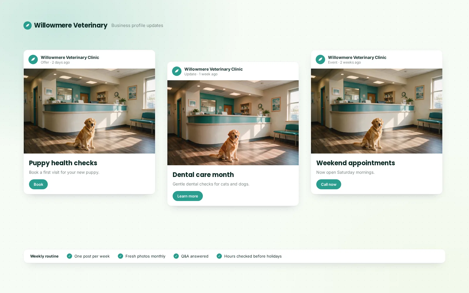 Willowmere Veterinary — Local SEO and Business Profile for a veterinary clinic — 3